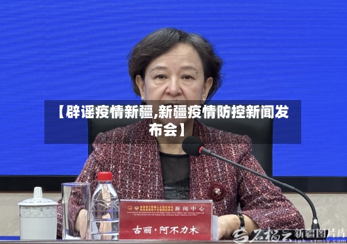 【辟谣疫情新疆,新疆疫情防控新闻发布会】