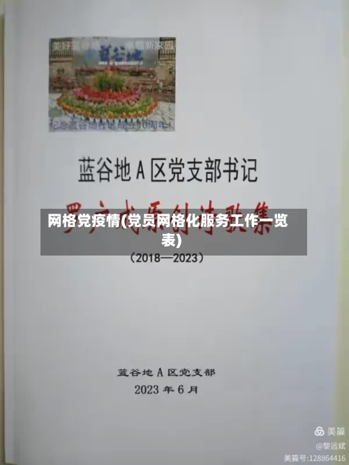 网格党疫情(党员网格化服务工作一览表)-第2张图片