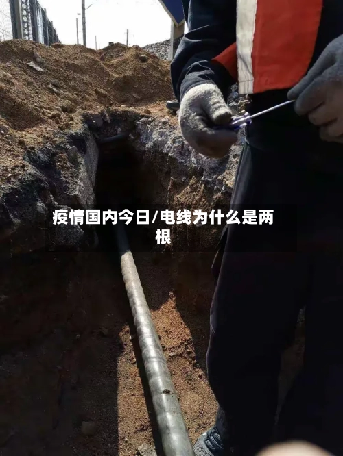 疫情国内今日/电线为什么是两根-第2张图片