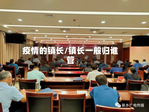 疫情的镇长/镇长一般归谁管