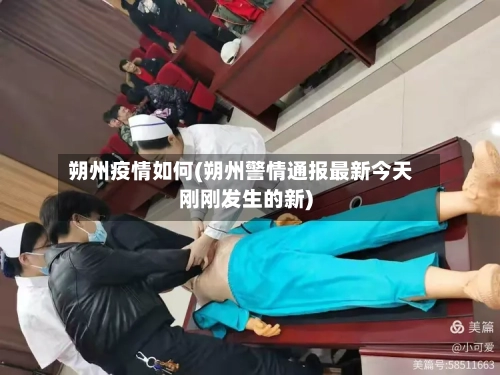 朔州疫情如何(朔州警情通报最新今天刚刚发生的新)