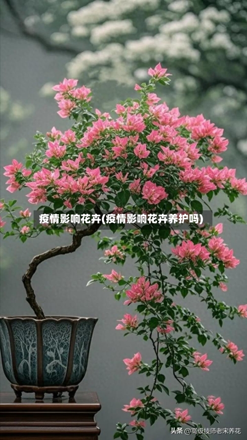 疫情影响花卉(疫情影响花卉养护吗)