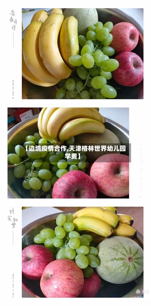 【边境疫情合作,天津格林世界幼儿园学费】-第2张图片