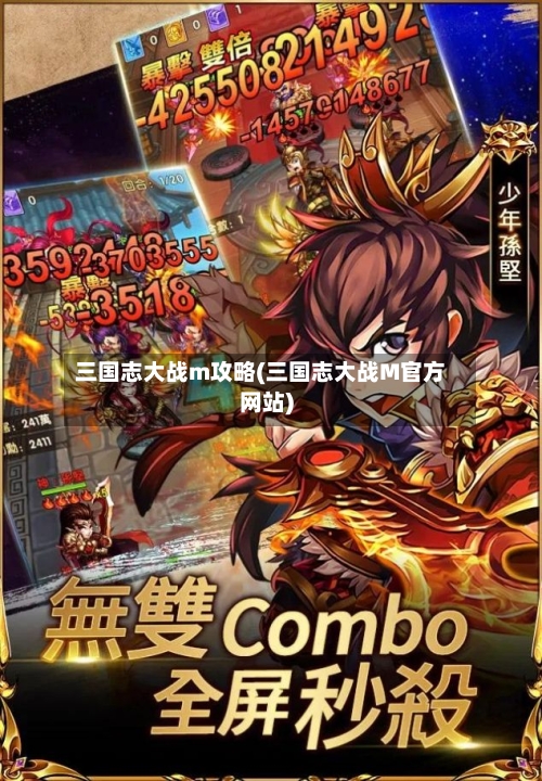 三国志大战m攻略(三国志大战M官方网站)
