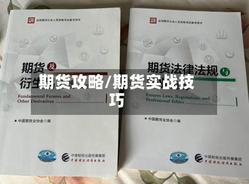期货攻略/期货实战技巧-第2张图片