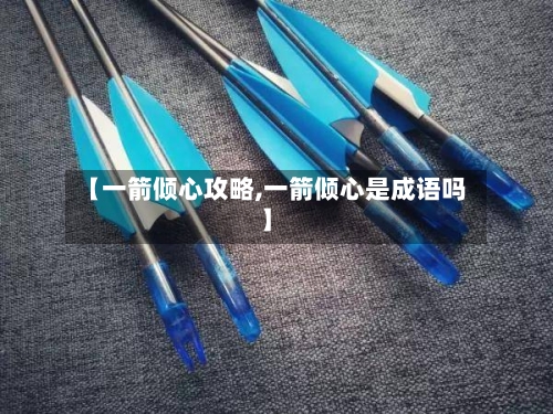 【一箭倾心攻略,一箭倾心是成语吗】