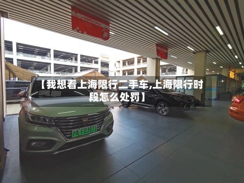 【我想看上海限行二手车,上海限行时段怎么处罚】-第3张图片