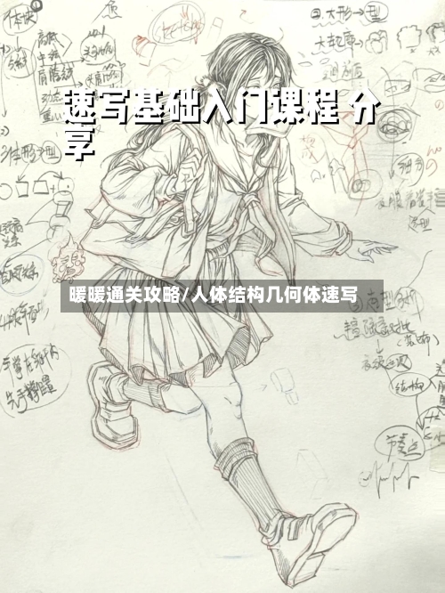 暖暖通关攻略/人体结构几何体速写