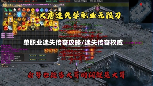 单职业迷失传奇攻略/迷失传奇权威-第2张图片