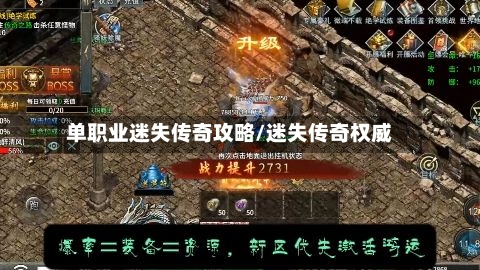 单职业迷失传奇攻略/迷失传奇权威