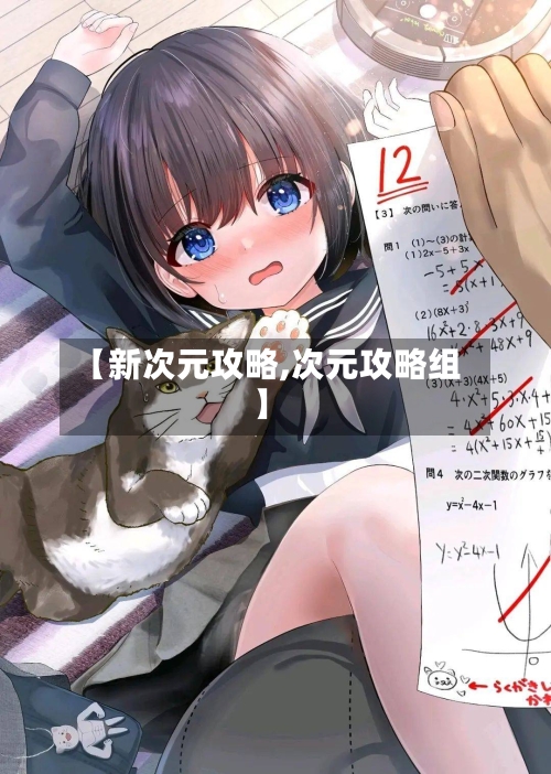 【新次元攻略,次元攻略组】