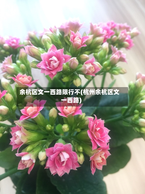 余杭区文一西路限行不(杭州余杭区文一西路)